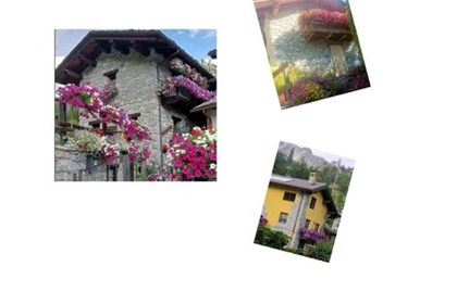 Oyace In Fiore